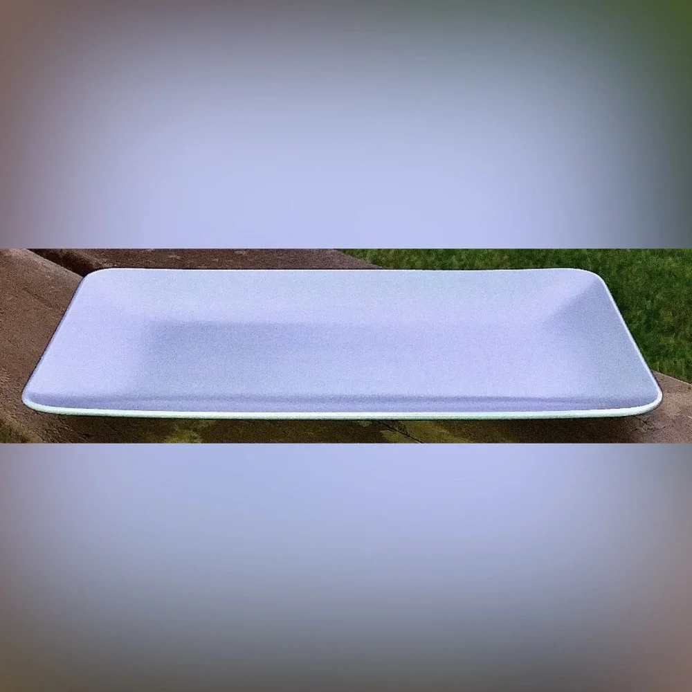 Discontinued Dinera Gray Fargrik IKEA of SWEDEN Rectangular Dinner Plate